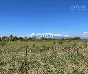 T_Blv_Lars_03.webp