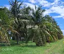 T_Pl_Puerta_Escondida_02.webp