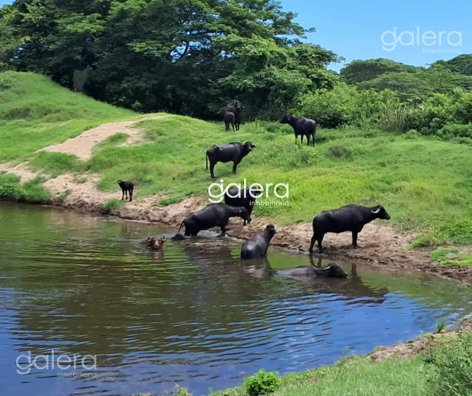 T_Pl_Puerta_Escondida_03.webp