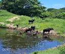 T_Pl_Puerta_Escondida_03.webp