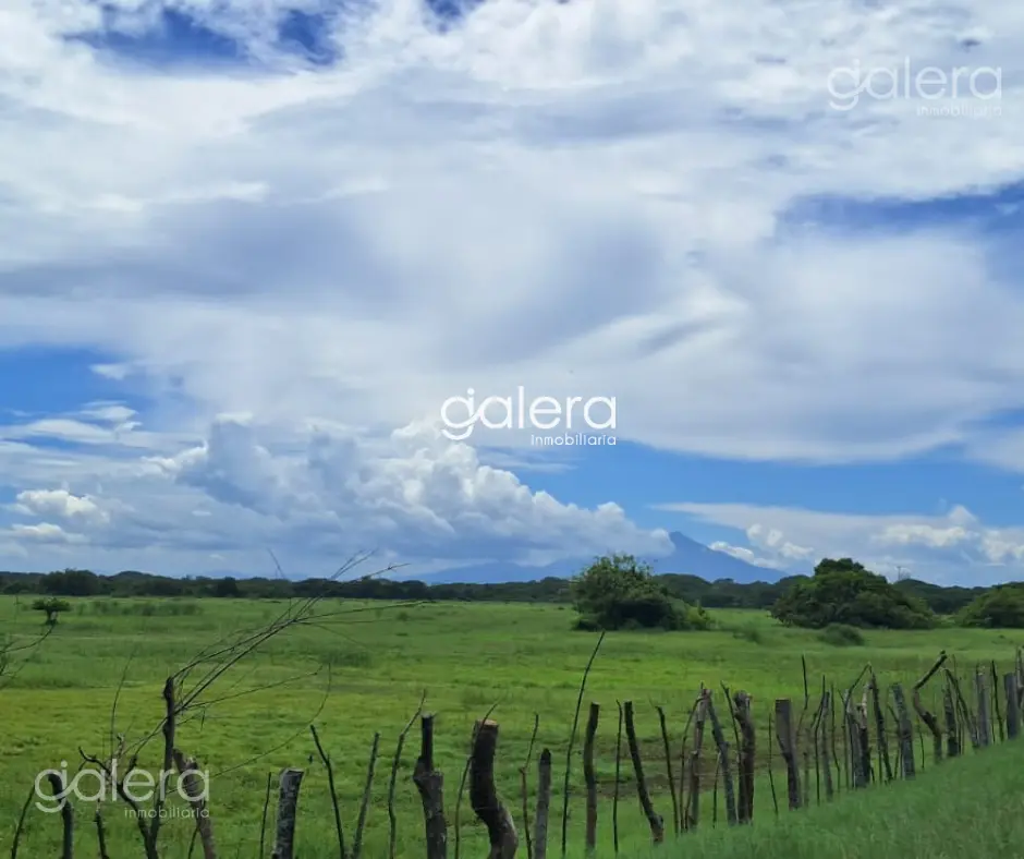 T_Pl_Puerta_Escond_04_.webp
