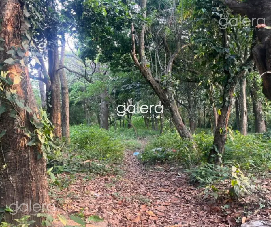 Terreno, Santa Ana