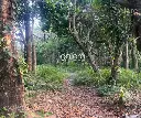Terreno, Santa Ana