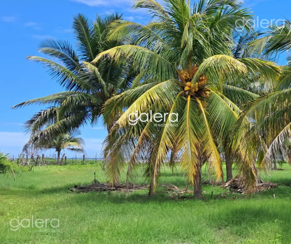 Terreno, Playa Puerta Escondida