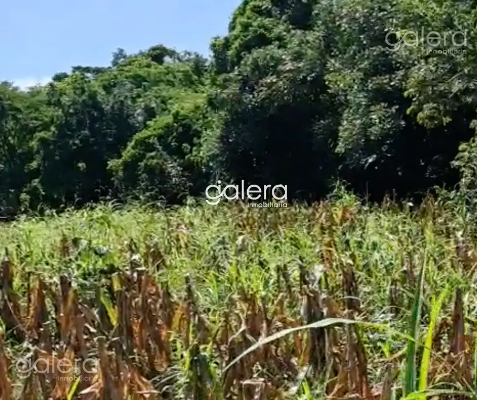 Terreno, Quezaltepeque